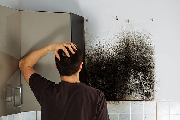 Best HVAC Mold Remediation in Timmonsville, SC